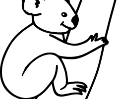 Coloriage Koala